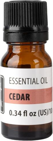 زيت النعناع العطري - زيت عطري عشبي مبرد للناشرين والعلاج العطري والعطور المنزلية - رائحة منعشة منعشة - 0.34 أونصة سائلة (10 مل) in Kuwait