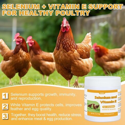 E+S Poultry Vitality Formula | Selenium for Chickens & All Poultry | Nutrient Support Powder for Energy Balance and Mobility | Feed Mix Additive for Healthy Growth in Kuwait