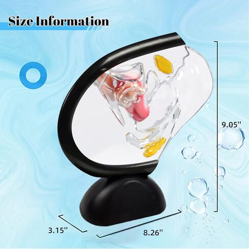 Transparent Uterus Model, Human Vagina Anatomical Model Female Reproductive Organ Model, Uterus Gifts Medical Teaching Models Gynecology Doctor Patient Communication Simulation in Kuwait