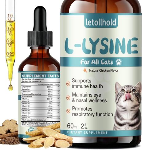 Lysine for Cats - L-Lysine Liquid Drops for Cat & Kittens, 60ML Lysine Supplement for Immune Support, Reduces Sneezing/Runny Nose, Supports Respiratory, Eye & Nasal Health, Easy-to-Feed, 2 Fl Oz in Kuwait
