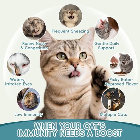 Lysine for Cats - L-Lysine Liquid Drops for Cat & Kittens, 60ML Lysine Supplement for Immune Support, Reduces Sneezing/Runny Nose, Supports Respiratory, Eye & Nasal Health, Easy-to-Feed, 2 Fl Oz in Kuwait