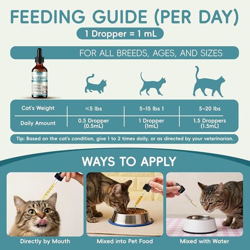 Lysine for Cats - L-Lysine Liquid Drops for Cat & Kittens, 60ML Lysine Supplement for Immune Support, Reduces Sneezing/Runny Nose, Supports Respiratory, Eye & Nasal Health, Easy-to-Feed, 2 Fl Oz in Kuwait