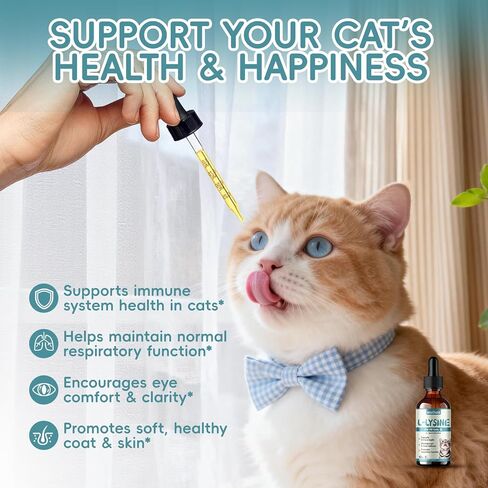 Lysine for Cats - L-Lysine Liquid Drops for Cat & Kittens, 60ML Lysine Supplement for Immune Support, Reduces Sneezing/Runny Nose, Supports Respiratory, Eye & Nasal Health, Easy-to-Feed, 2 Fl Oz in Kuwait