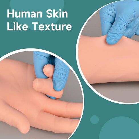 Phlebotomy Practice Kit, IV Practice Arm with Veins, Blood Draw & Venipuncture Training for IV Insertion Practice, IV Injection Practice Kit for Medical Education and Demonstration Only in Kuwait