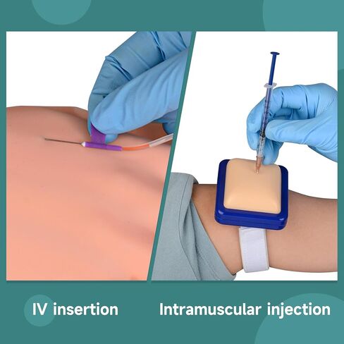 Phlebotomy Practice Kit, IV Practice Arm with Veins, Blood Draw & Venipuncture Training for IV Insertion Practice, IV Injection Practice Kit for Medical Education and Demonstration Only in Kuwait