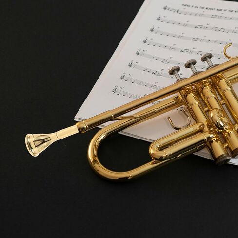 Luxshiny Copper French Horn Mouthpiece Silver-plated Brass Universal Horn Mouthpiece Replacement Accessory for Brass Instrument with Portable Design and Concert Use in Kuwait