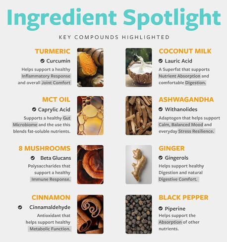 مزيج عضوي من مسحوق الحليب الذهبي - لاتيه الكركم المتكيف مع الزنجبيل وأشواغاندا ومركب الفطر من أجل حيوية الاسترخاء أثناء النوم ودعم المناعة - نباتي غير معدّل وراثيًا وخالي من الحشو (60 حصة) in Kuwait