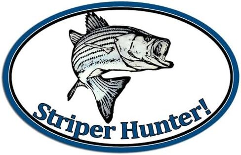 Oval Striper Hunter Sticker (Fish Fishing Striped bass Decal) in Saudi Arabia