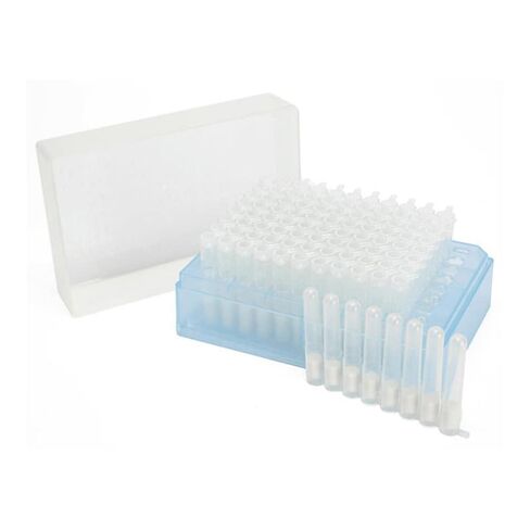 116981001 Lysing Matrix B, 96-Well Rack (1.2mL) in Kuwait