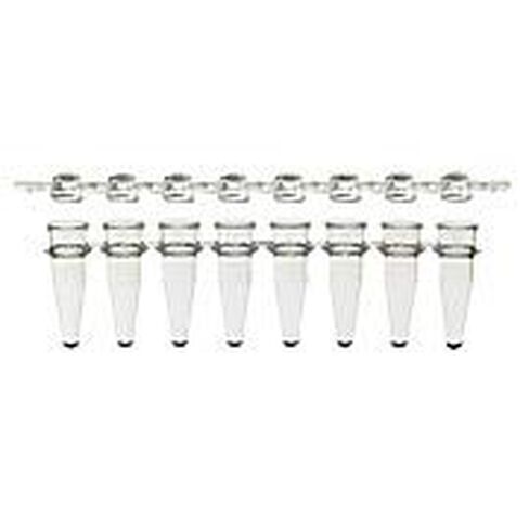 مجموعة كومبو باك مكونة من 8 شرائح من أنابيب PCR وأغطية مسطحة، باللون الأبيض in Kuwait