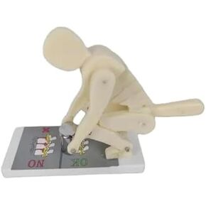 Human Body Bending Weightlifting Spine, Demonstration of Correct Posture, Lumbar Protection Model in Saudi Arabia