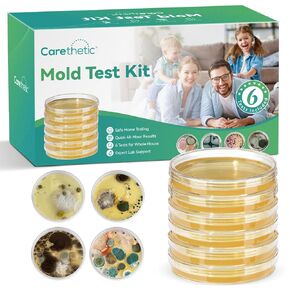 Mold Test Kit for Home – 6 DIY Air, Surface & HVAC Tests : at-Home Mold Testing with Lab Analysis & Identification of Black Mold, Toxic Mold and More in Kuwait