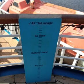 CCL Elation 42" tall enough in Kuwait