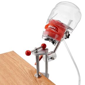 4E 4E's USA Dental Bench-Mounted Training Manikin (28 Teeth): Phantom Head Model with Desk Clamp, Head Base, Facemask & Drainage Tube, Ideal for Demonstration & Education in Kuwait