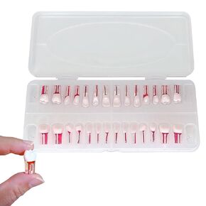 28PCS Dental RCT Root Canal Practice Model | Full-Mouth Typodont Kit | Each Tooth Position Drill for Dental Students & Training Facilities in Kuwait