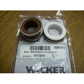 Mechanical Seal - 0117819 in Kuwait