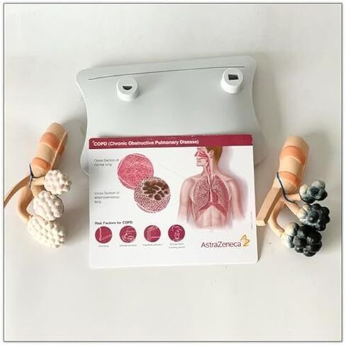 Human Alveolar Model, Comparative Model of Health and Pathology, and Enlarged Structure for Learning Display Teaching in Saudi Arabia