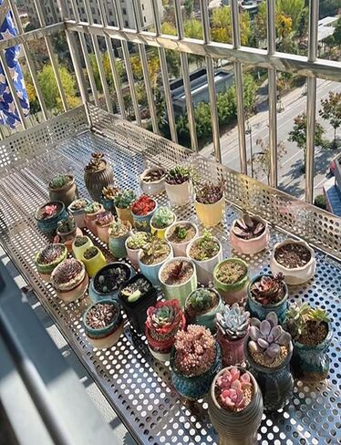 304 Stainless Steel Perforated Sheet - Round Ventilation Mesh Shield Gasket, Decorative Grate Screen, Balcony Window Fence, Durable Punching Plate (62x100cm) in Kuwait