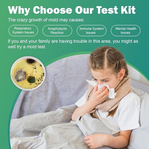 Mold Test Kit for Home – 6 DIY Air, Surface & HVAC Tests : at-Home Mold Testing with Lab Analysis & Identification of Black Mold, Toxic Mold and More in Kuwait