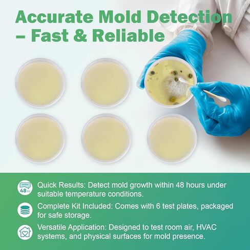 Mold Test Kit for Home – 6 DIY Air, Surface & HVAC Tests : at-Home Mold Testing with Lab Analysis & Identification of Black Mold, Toxic Mold and More in Kuwait