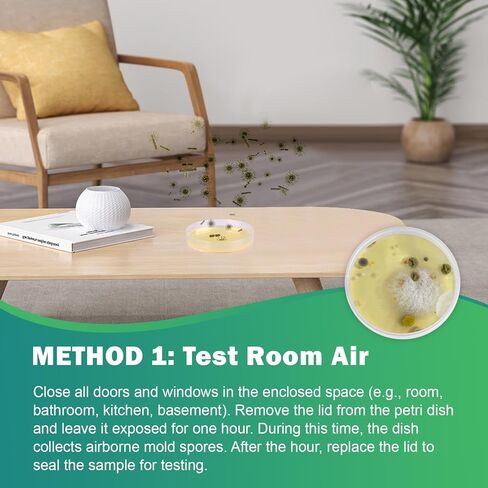 Mold Test Kit for Home – 6 DIY Air, Surface & HVAC Tests : at-Home Mold Testing with Lab Analysis & Identification of Black Mold, Toxic Mold and More in Kuwait