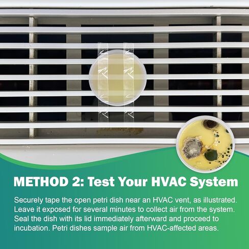 Mold Test Kit for Home – 6 DIY Air, Surface & HVAC Tests : at-Home Mold Testing with Lab Analysis & Identification of Black Mold, Toxic Mold and More in Kuwait
