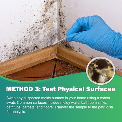 Mold Test Kit for Home – 6 DIY Air, Surface & HVAC Tests : at-Home Mold Testing with Lab Analysis & Identification of Black Mold, Toxic Mold and More in Kuwait