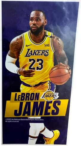 WinCraft LeBron James Los Angeles Lakers Officially Licensed Beach Towel 28" x 58", 100% Cotton in Saudi Arabia