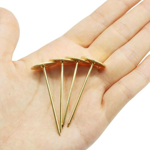 10pcs Flat Head Thumb Tacks for Wall, 19mm x 50mm Upholstery Tacks, Decorative Long Push Pins for Office Home Furniture Decor Wooden Photo, Gold in Saudi Arabia