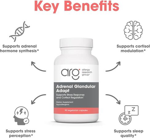 Allergy Research Group - Adrenal Glandular Adapt - Supports Healthy Stress Response and Cortisol Regulation - Hypoallergenic - 90 Vegetarian Capsules in Saudi Arabia