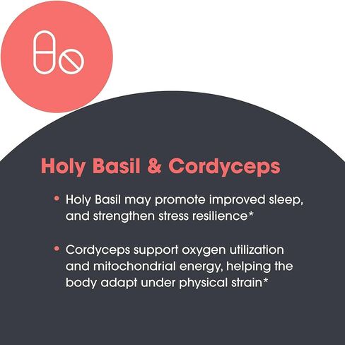 Allergy Research Group - Adrenal Glandular Adapt - Supports Healthy Stress Response and Cortisol Regulation - Hypoallergenic - 90 Vegetarian Capsules in Saudi Arabia