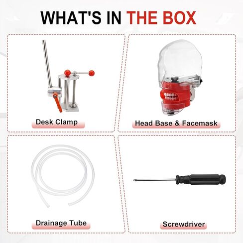 4E 4E's USA تمثال تدريب الأسنان المثبت على مقعد (28 سنًا): نموذج رأس فانتوم مع مشبك مكتب، قاعدة رأس، قناع وجه وأنبوب تصريف، مثالي للعرض والتعليم in Kuwait