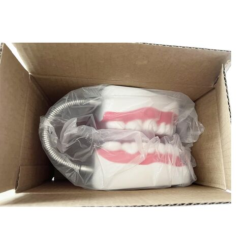 معيار طب الأسنان ست مرات نموذج الأسنان نماذج تعليم الأسنان التكبير نموذج الفم الكامل Typodont مظاهرة نموذج أسنان للأطفال وطلاب طبيب الأسنان والمريض والتعليم والدراسة والعرض in Kuwait