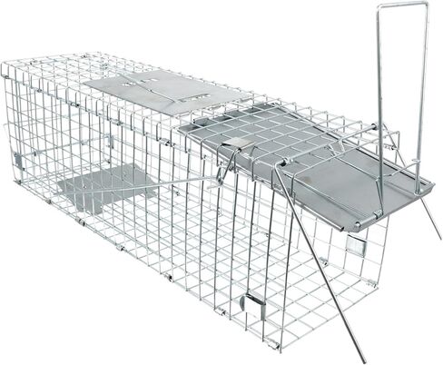 Rugged Metal Cage Live Folding Hunting Supplies Humane Catching for Raccoons Opossums Cats Rabbits in Saudi Arabia