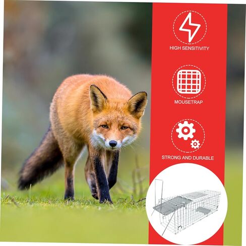 Rugged Metal Cage Live Folding Hunting Supplies Humane Catching for Raccoons Opossums Cats Rabbits in Saudi Arabia