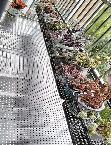 Decorative Perforated Metal Sheet, 10mm Hole Mesh Screen for Windowsill Guardrail & Flower Stand - Durable Metal Plate (25x310cm) in Kuwait