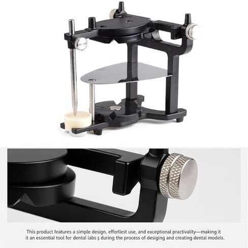 Lab Magnetic Articulators Large Size JT-02B with 6 Metal Plates for Students Learning in Kuwait