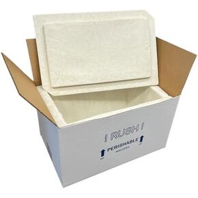 UN20A Thermo Chill Insulated Carton with Foam Shipper, Medium, 17" Length x 10" Width x 8-1/4" Depth, Original Version in Kuwait
