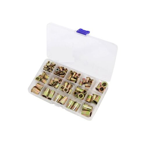 Qinlu-غسالات الصلب برشام الجوز Rivnut إدراج Nutsert M3 M4 M5 M6 M8 M10 لبرشام الجوز بندقية التثبيت أداة المبرشم، 95 قطعة/300 قطعة، لإصلاح المصانع (95 قطعة) in Kuwait