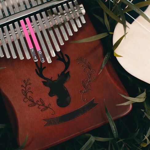 Elegant Kalimba Tine Sticker Scale Musical Instrument Accessory Beginner Kalimba Sticker in Kuwait