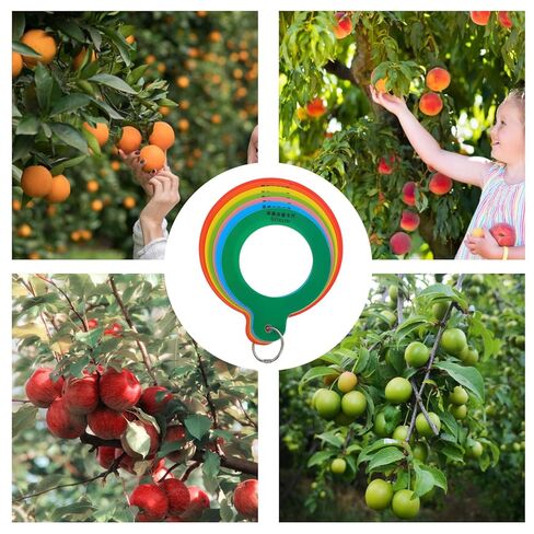 Fruit Diameter Measuring Ring Caliper Gauge, 7-Hole Plastic Fruits Ruler for Size Grading, Oranges and Citrus Diameter Measurement Tool for Farmers and Produce Sorting in Saudi Arabia