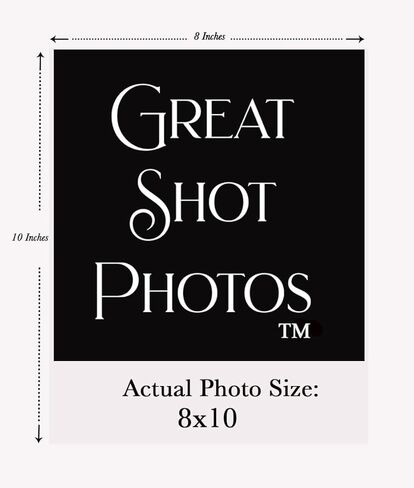 Los Angeles Dodgers Sandy Koufax & St. Louis Cardinals Bob Gibson in 1966 8x10 Photo Picture in Kuwait