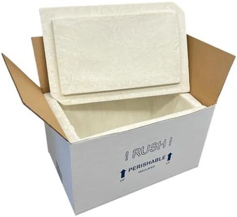 UN20A Thermo Chill Insulated Carton with Foam Shipper, Medium, 17" Length x 10" Width x 8-1/4" Depth, Original Version in Kuwait