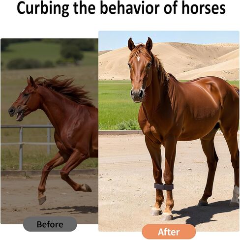 Horse Hobbles, 17.3" Adjustable Hobbles Leather for Horses Legs, Training 2-Leg Hobbles for Control Running and Kicking in Saudi Arabia