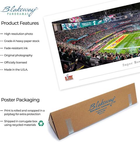 Super Bowl 2015 - أبطال نيو إنجلاند باتريوتس - ملصق بانورامي NFL وديكور حائط من Blakeway Panoramas in Kuwait