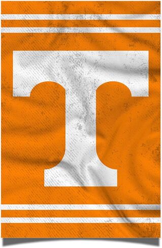 Desert Cactus University of Tennessee Poster UT Knoxville Volunteers Vols 11 x 17 Inch Room Office Décor Decoration Official Fan Gear (11x17 inch, Version 3) in Saudi Arabia