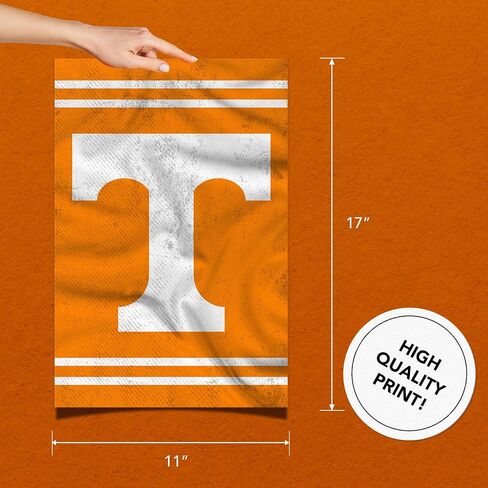 Desert Cactus University of Tennessee Poster UT Knoxville Volunteers Vols 11 x 17 Inch Room Office Décor Decoration Official Fan Gear (11x17 inch, Version 3) in Saudi Arabia