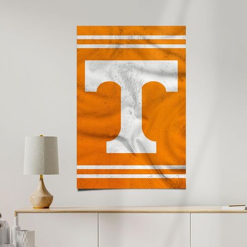 Desert Cactus University of Tennessee Poster UT Knoxville Volunteers Vols 11 x 17 Inch Room Office Décor Decoration Official Fan Gear (11x17 inch, Version 3) in Saudi Arabia
