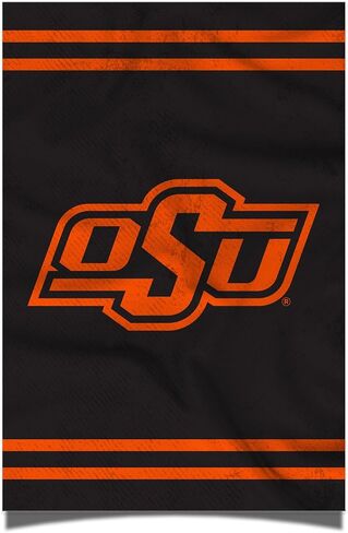Desert Cactus Oklahoma State University Poster OSU Cowboys 11 x 17 Inch Room Office Décor Decoration Official Fan Gear (11x17 inch, Version 3) in Saudi Arabia