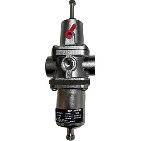 B38P-444-M1MA 1/2NPT برغي الموضوع الفولاذ المقاوم للصدأ تصفية صمام تخفيض الضغط in Kuwait